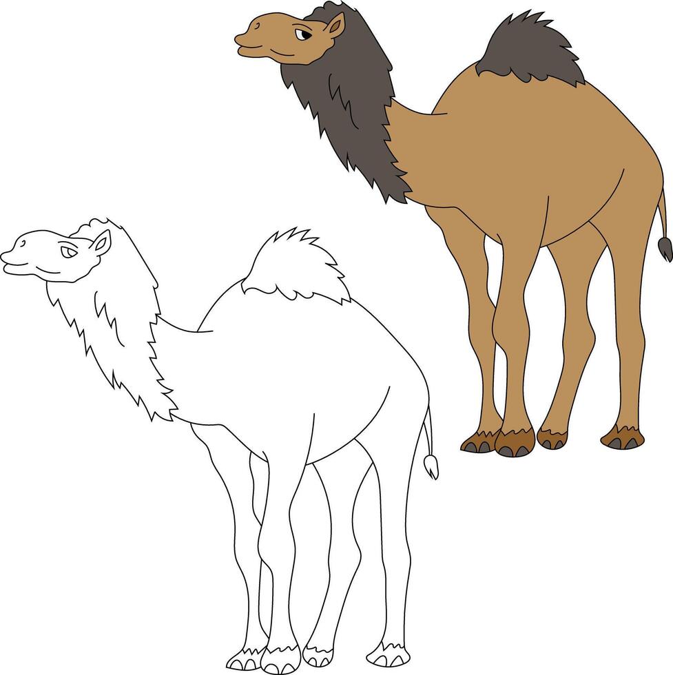 Camel Clipart Set. Cartoon Wild Animals Clipart Set for Lovers of Wildlife vector