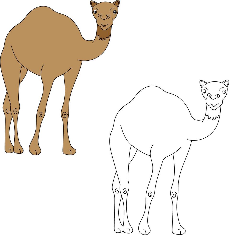 Camel Clipart Set. Cartoon Wild Animals Clipart Set for Lovers of Wildlife vector