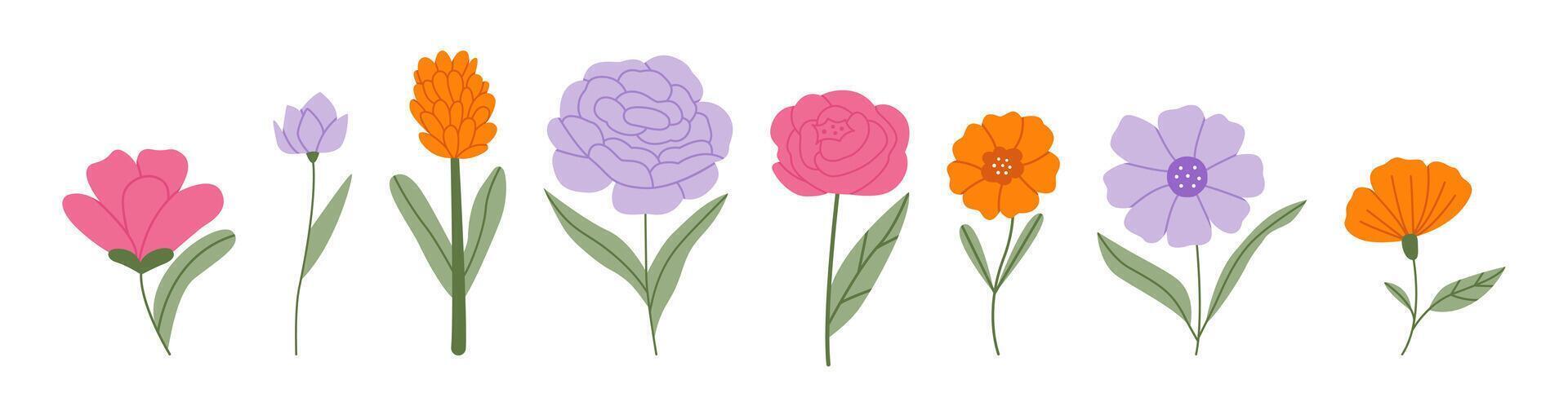 Charming botanical set vector