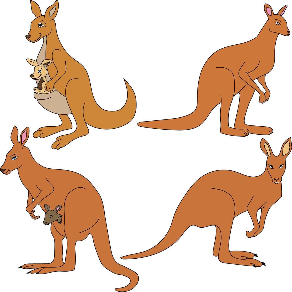 Kangaroo Clipart Set. Cartoon Wild Animals Clipart Set for Lovers of Wildlife vector