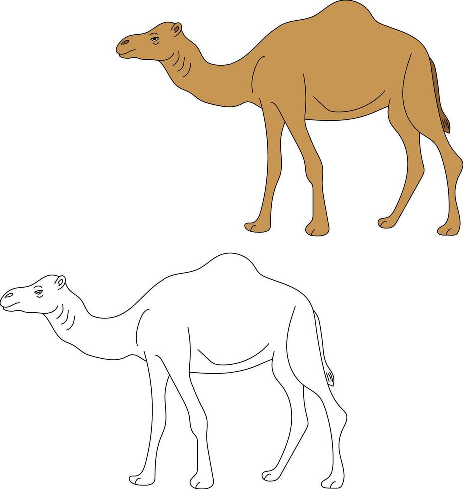 Camel Clipart Set. Cartoon Wild Animals Clipart Set for Lovers of Wildlife vector