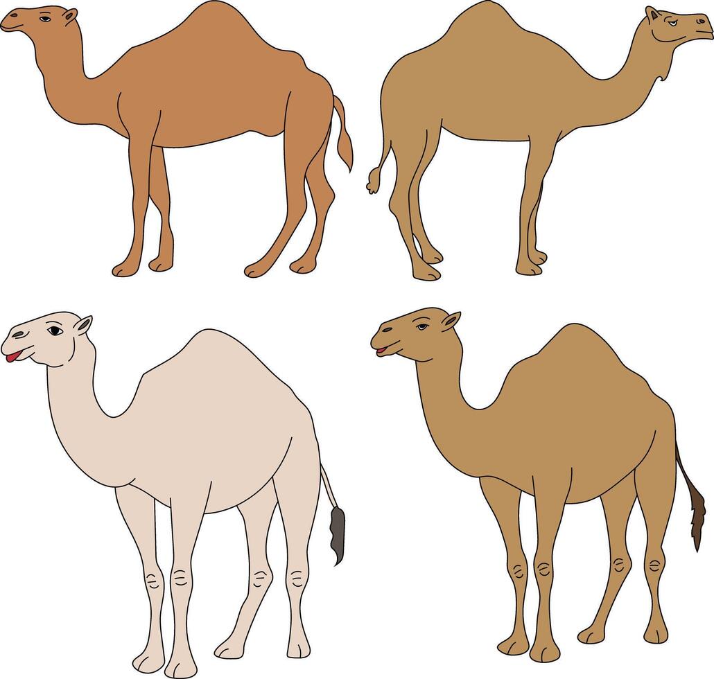 Camel Clipart Set. Cartoon Wild Animals Clipart Set for Lovers of Wildlife vector