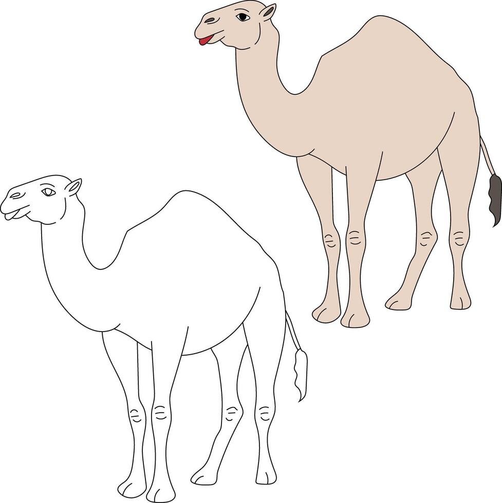 Camel Clipart Set. Cartoon Wild Animals Clipart Set for Lovers of Wildlife vector