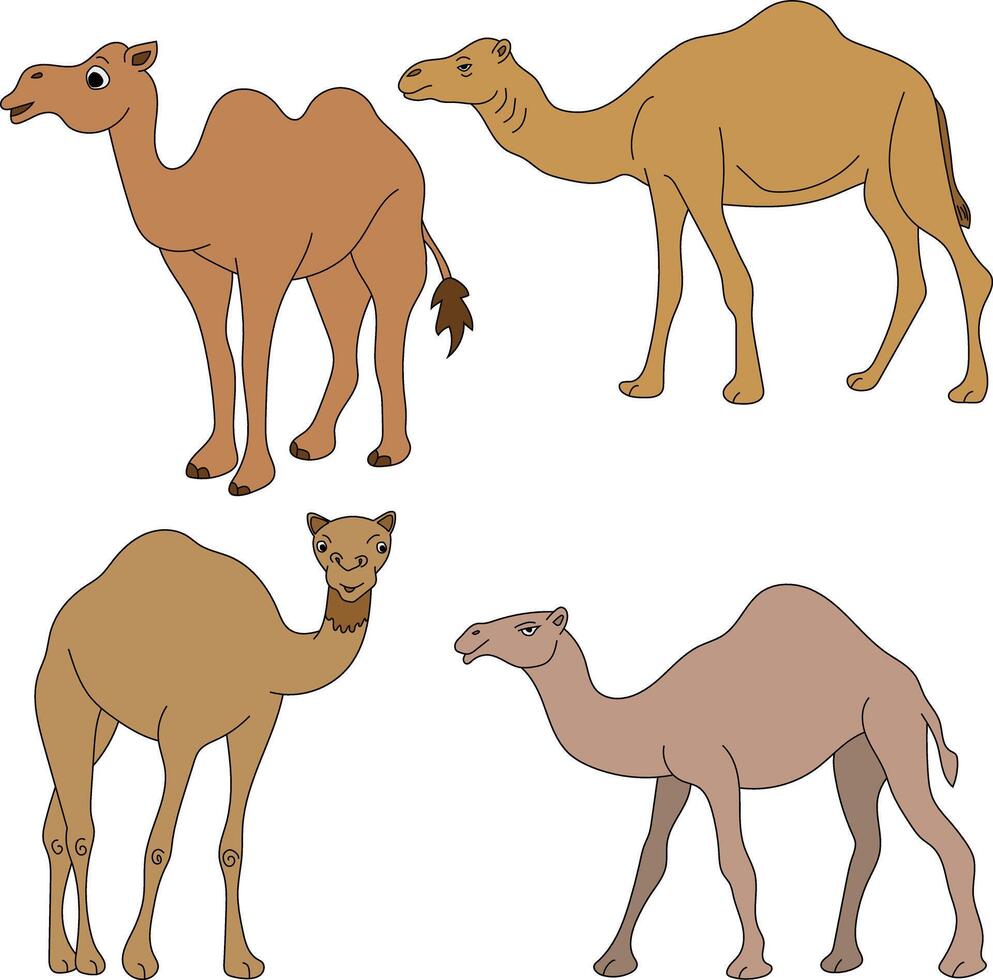 Camel Clipart Set. Cartoon Wild Animals Clipart Set for Lovers of Wildlife vector