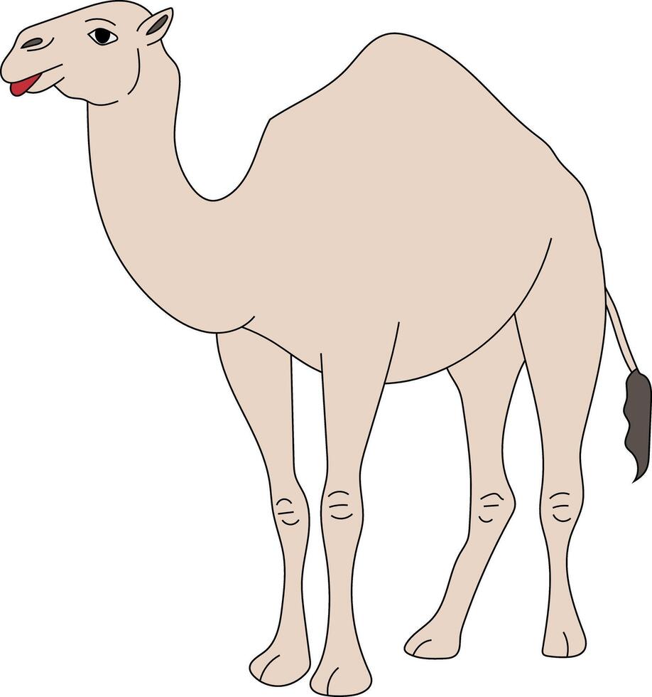 vistoso camello clipart. garabatear animales clipart. dibujos animados salvaje animales clipart para amantes de fauna silvestre vector