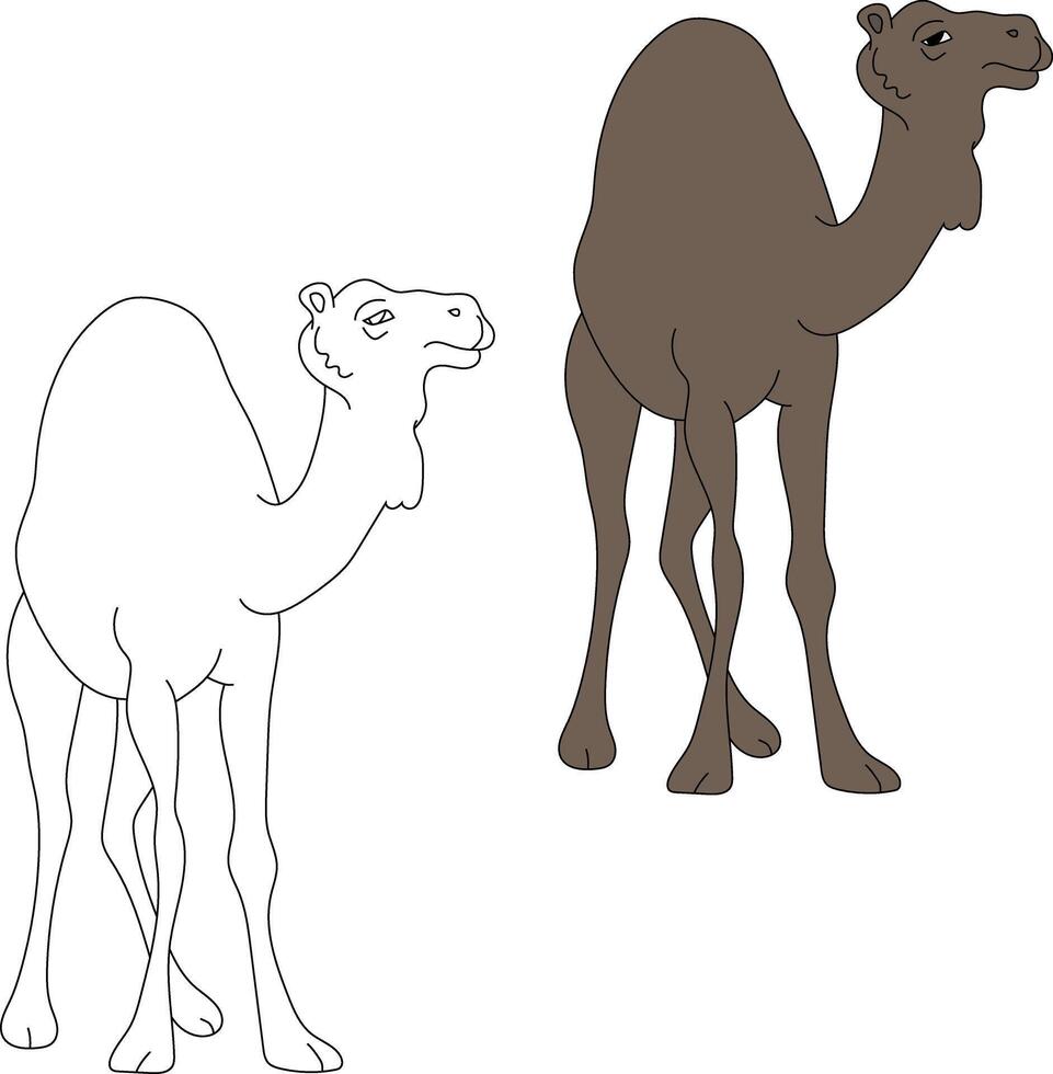 Camel Clipart Set. Cartoon Wild Animals Clipart Set for Lovers of Wildlife vector