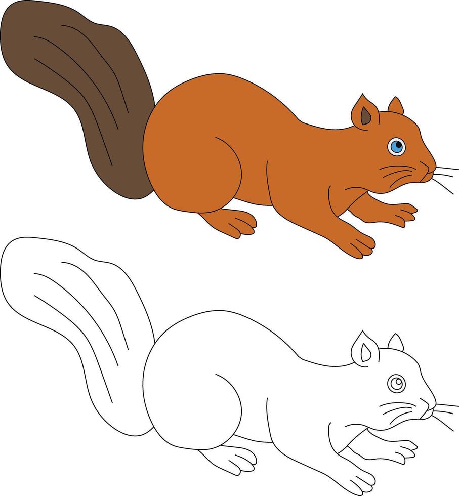 Squirrel Clipart Set. Cartoon Wild Animals Clipart Set for Lovers of Wildlife vector