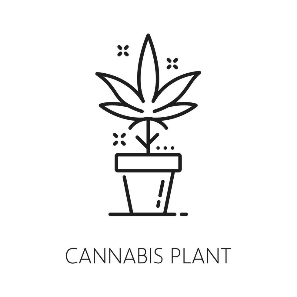 Cannabis line icon, cbd and marijuana, weed plant vector