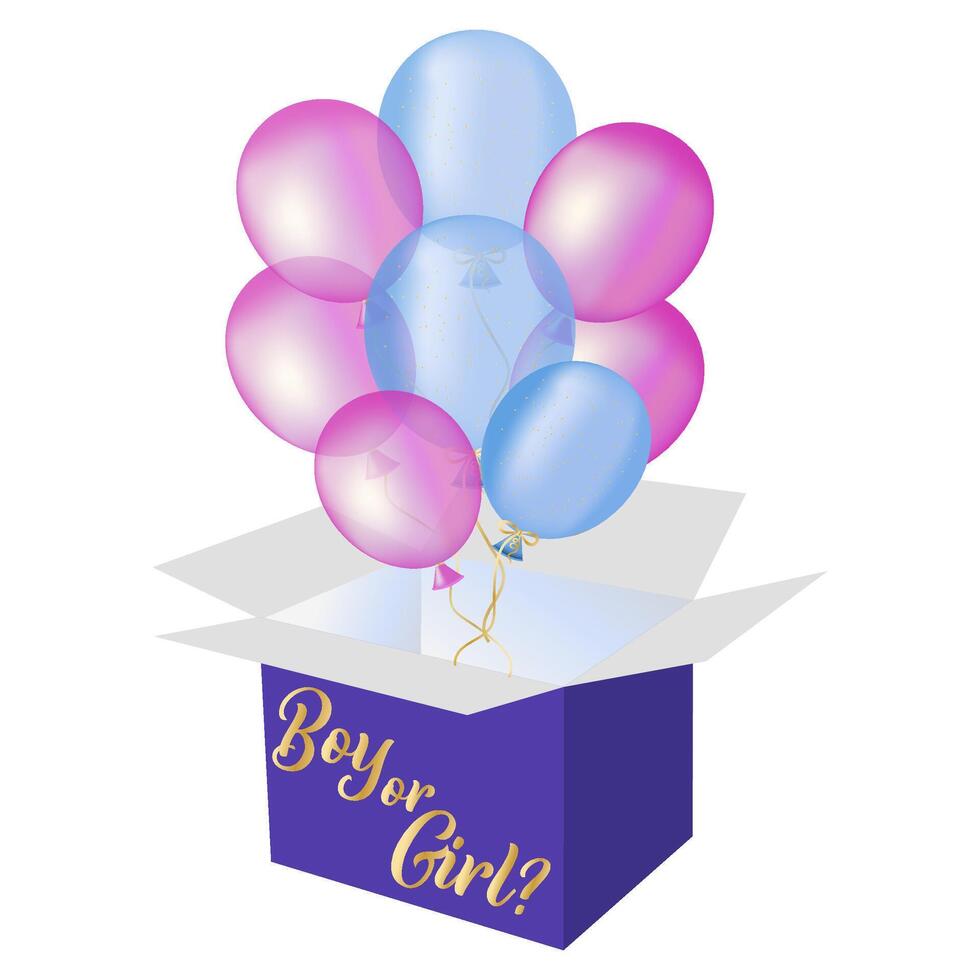 Pink and blue balloons fly out of the box. Party for the expected baby. Boy or girl. vector