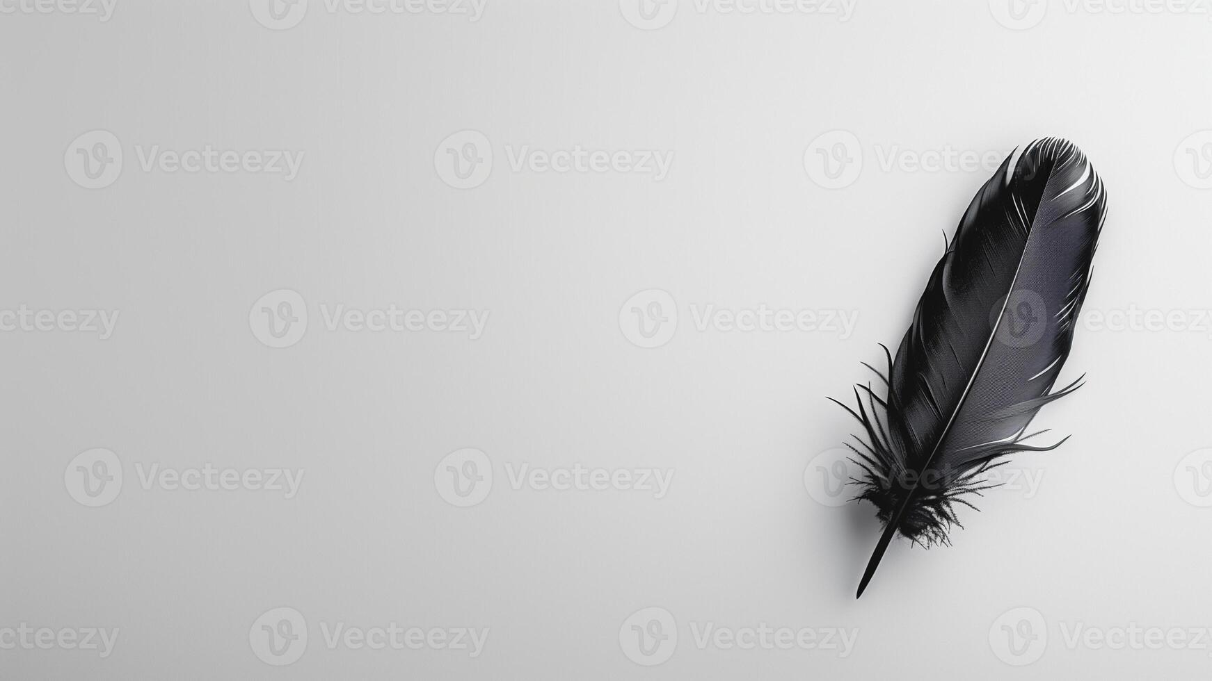 Black feather on a white background. 3d rendering photo