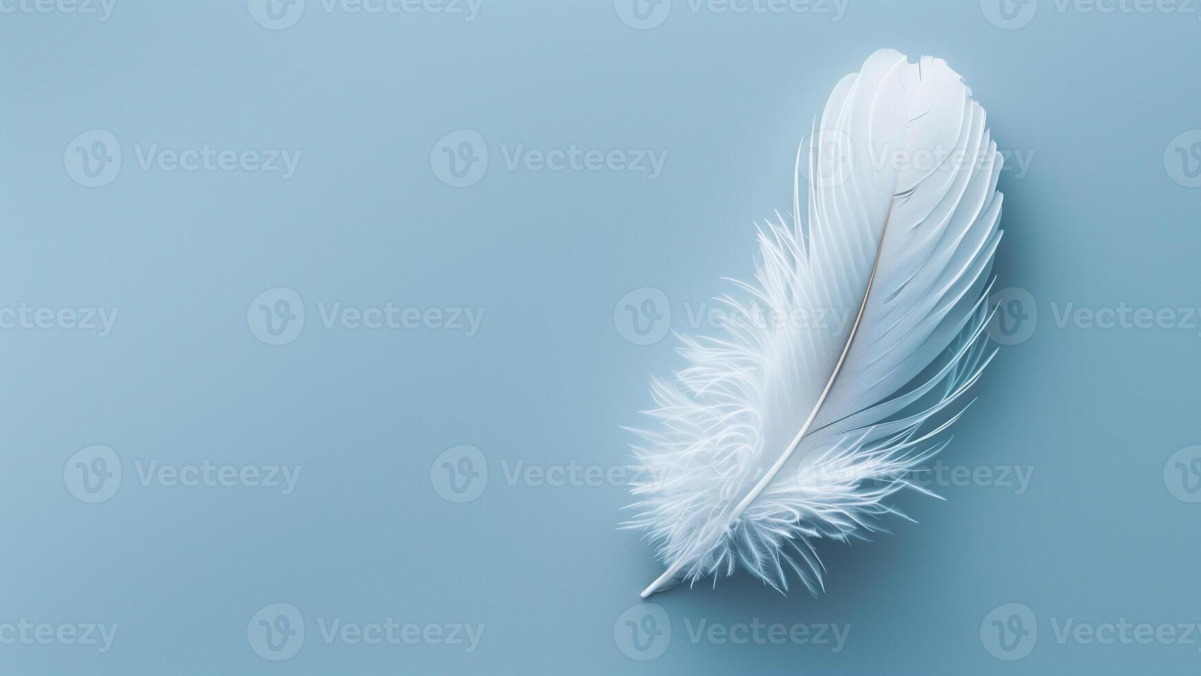 White feather on blue background. Flat lay, top view, copy space photo