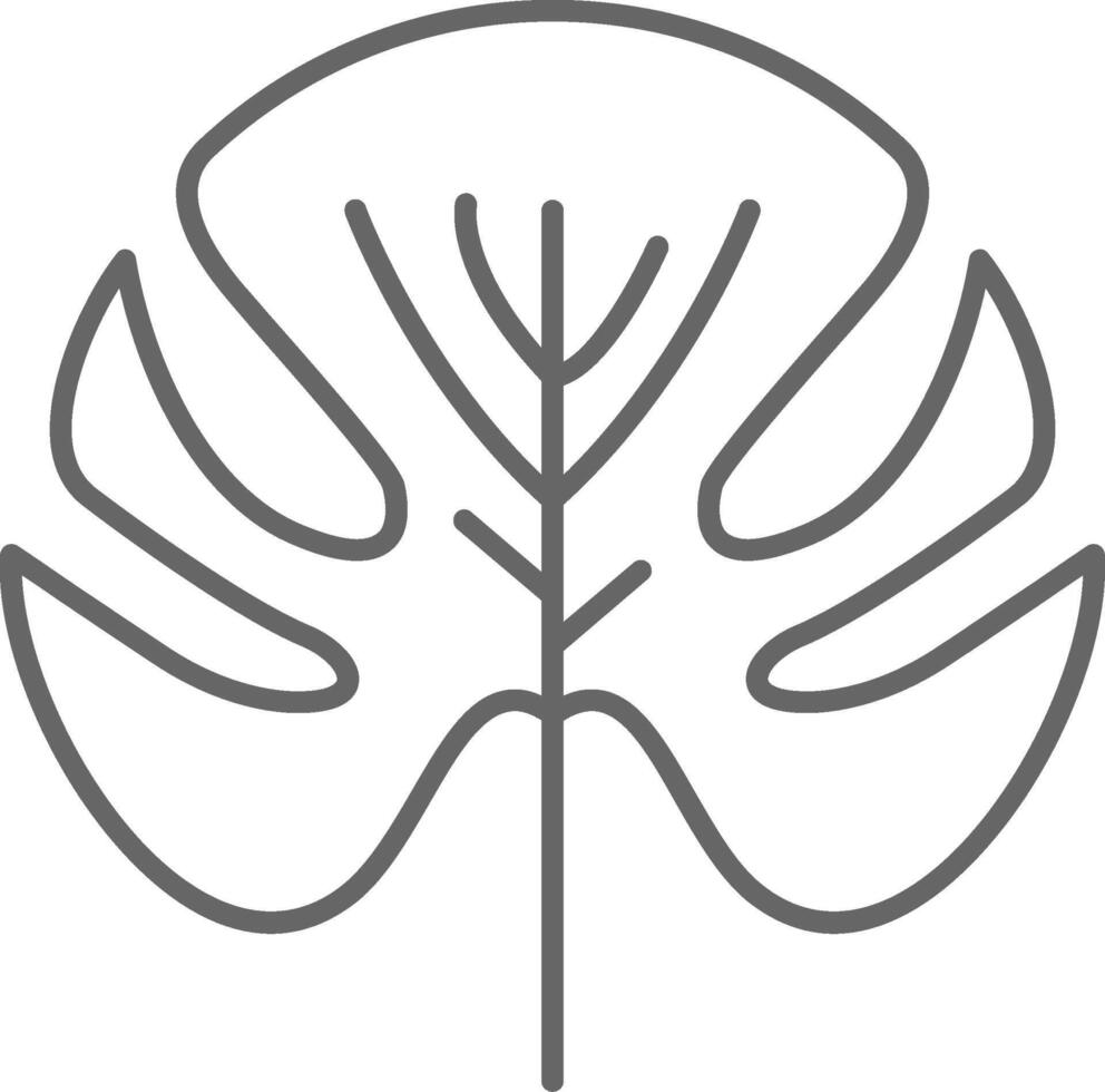 Monstera Fillay Icon vector