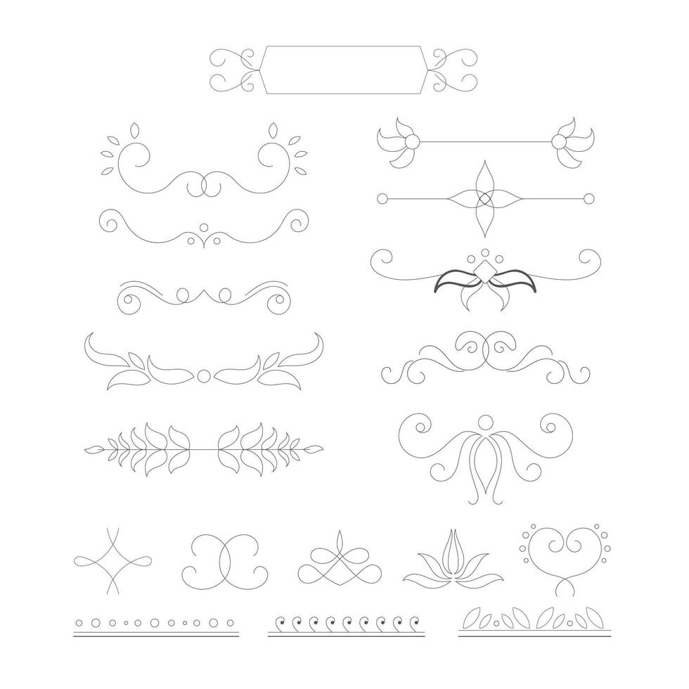 decorativo florido elementos y insignias vector