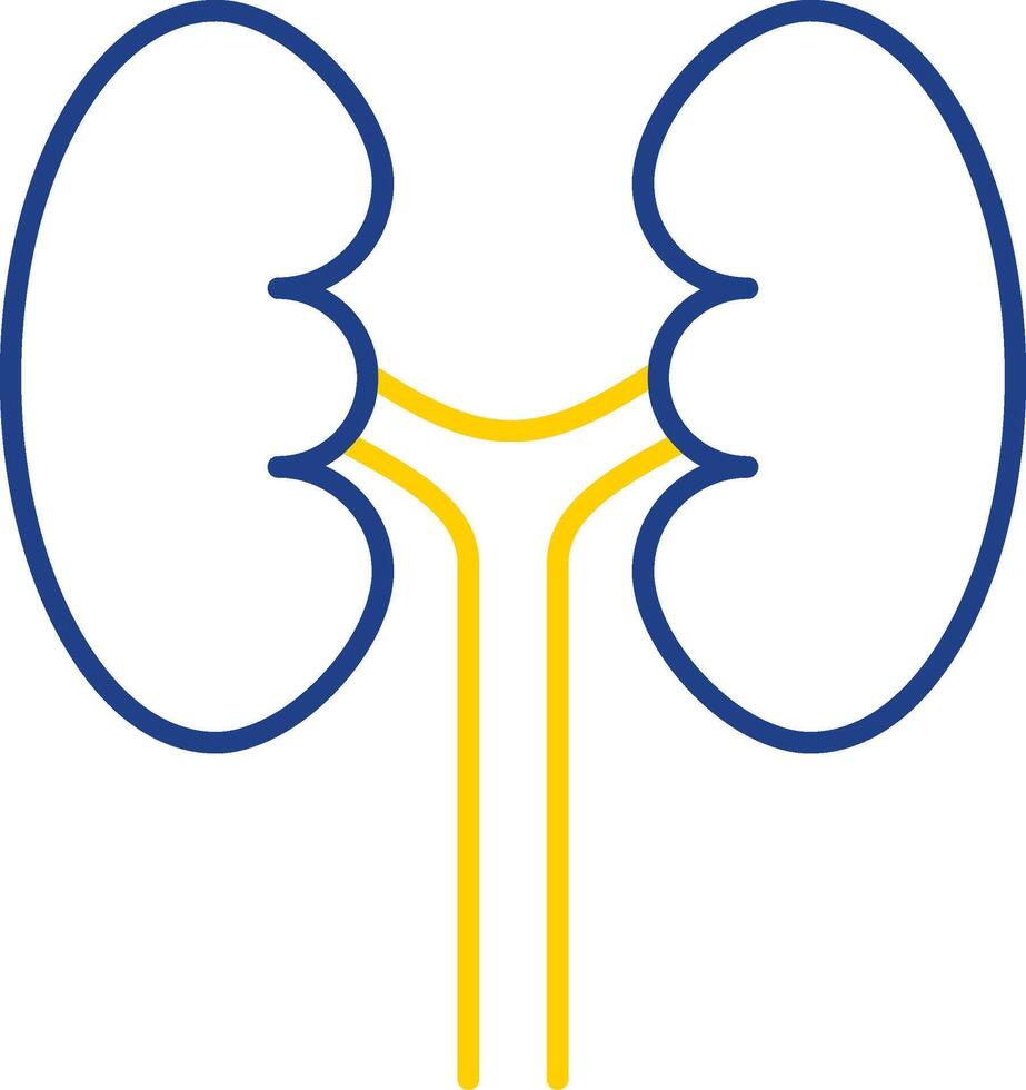 Urology Line Two Color Icon vector