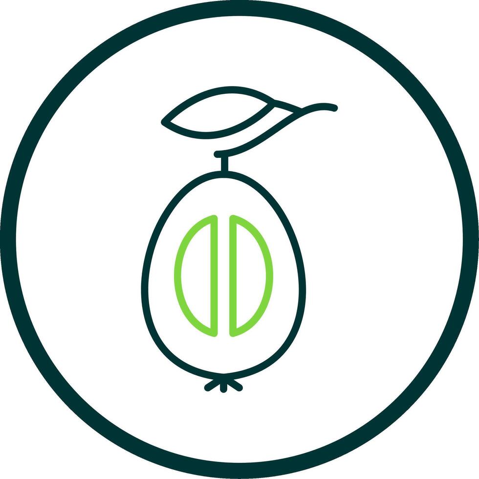 Loquat Line Circle Icon vector