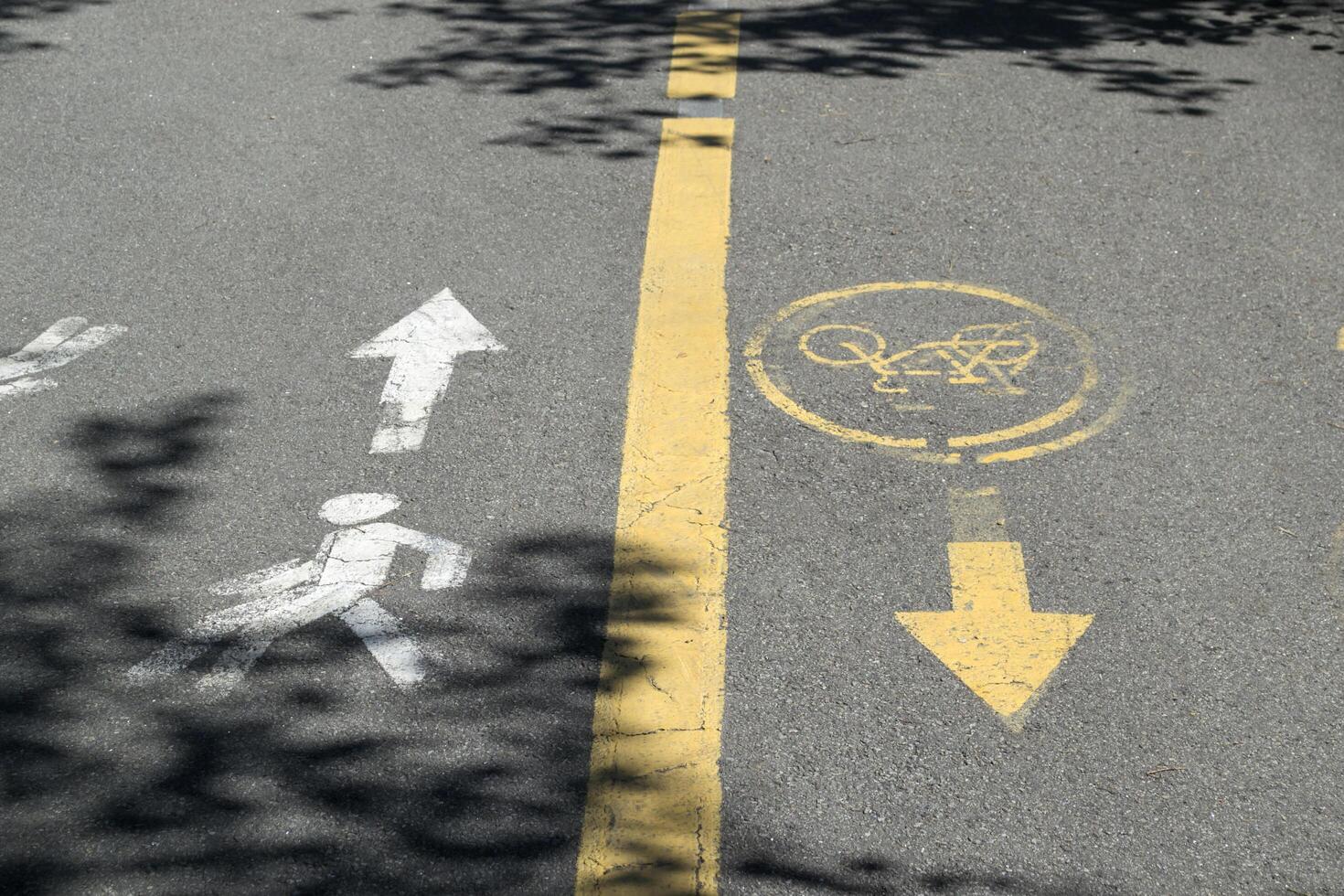 Road sign on asphalt with shadows of tree. photo