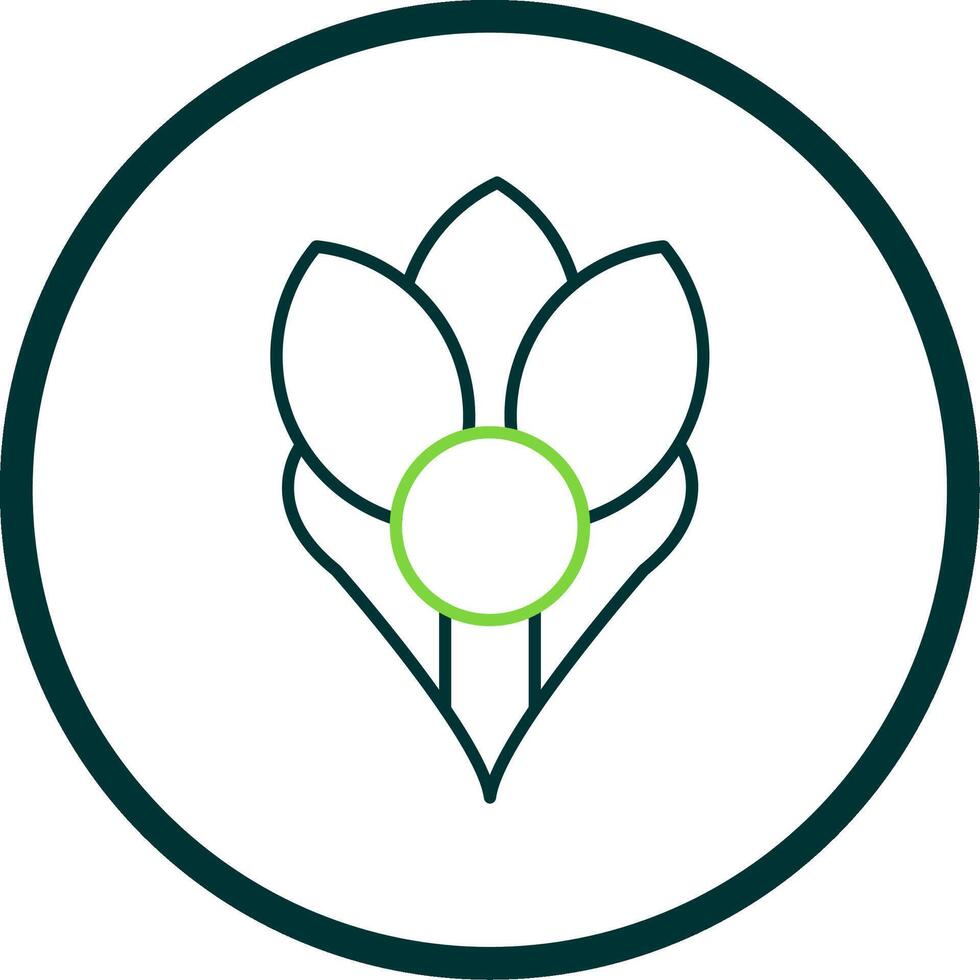 Crocus Line Circle Icon vector