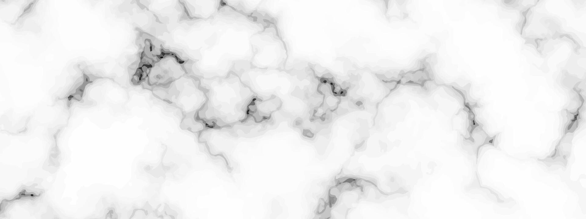 White marble texture background vector