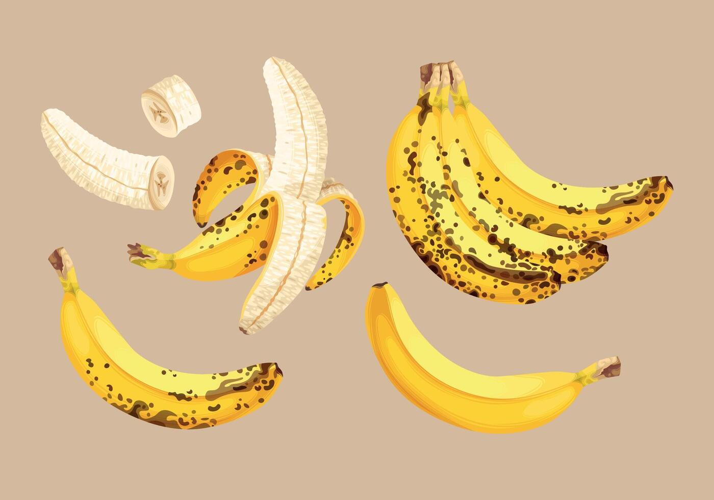 Cartoon bananas. Peel banana, yellow fruit and bunch of bananas. Tropical fruits, banana snack or vegetarian nutrition. Isolated illustration icons set vector