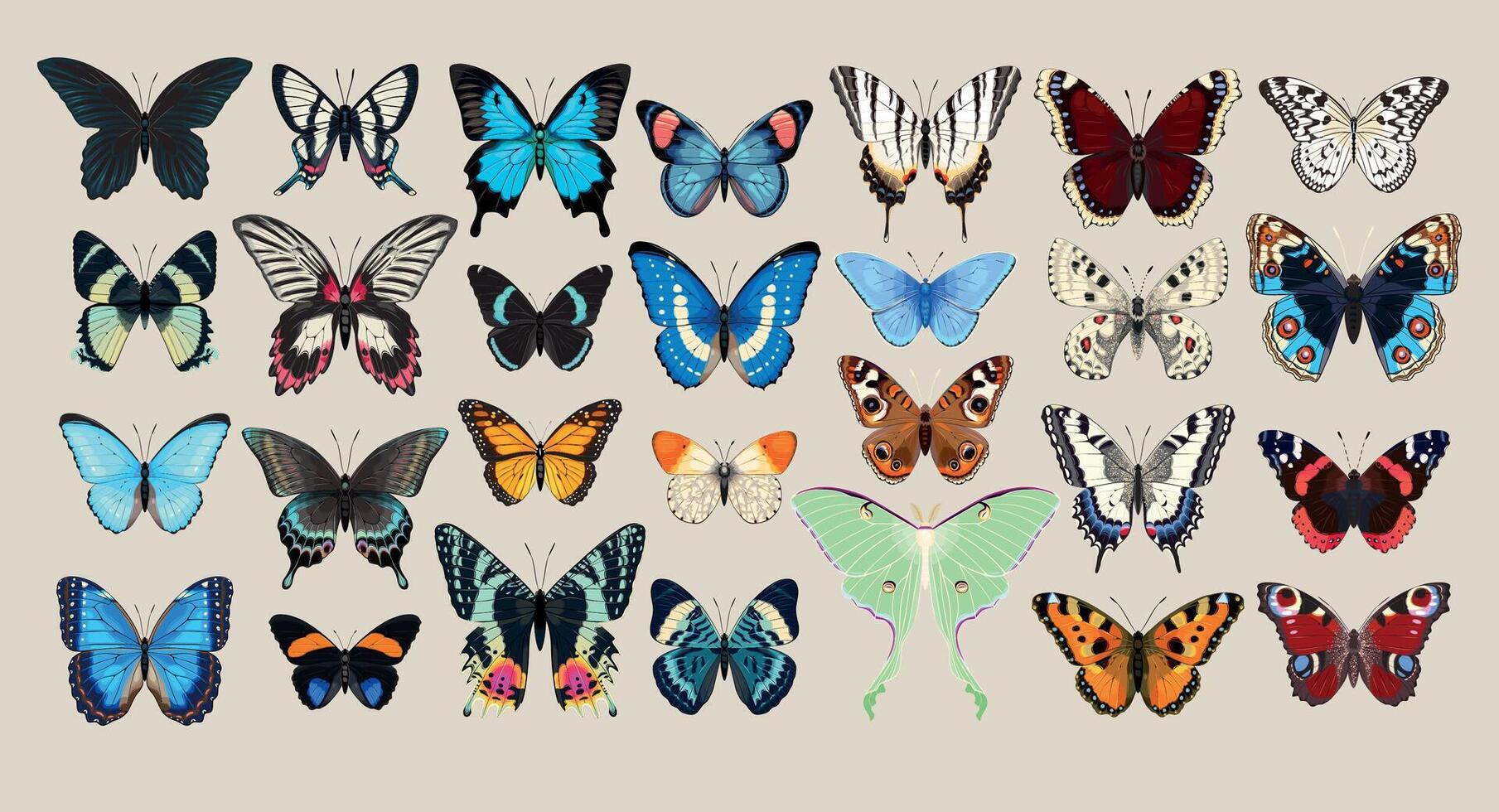 Collection of multicolored butterflies. illustration. vector