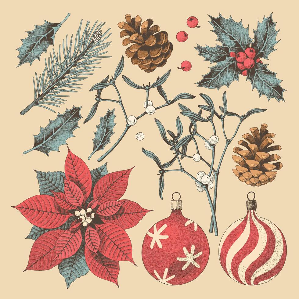Big set of hand drawn Christmas winter flora, vintage style vector