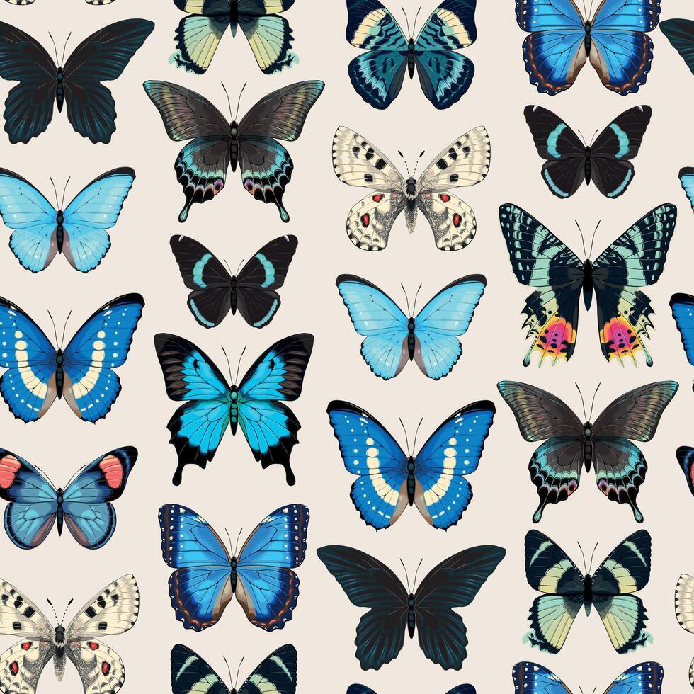 seamless pattern with high detailed tropic butterfly vector