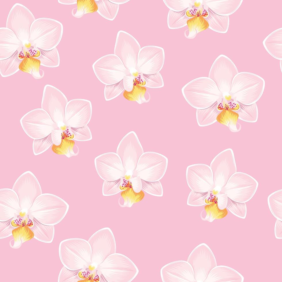Pink and white orchids seamless pattern on light pink background vector