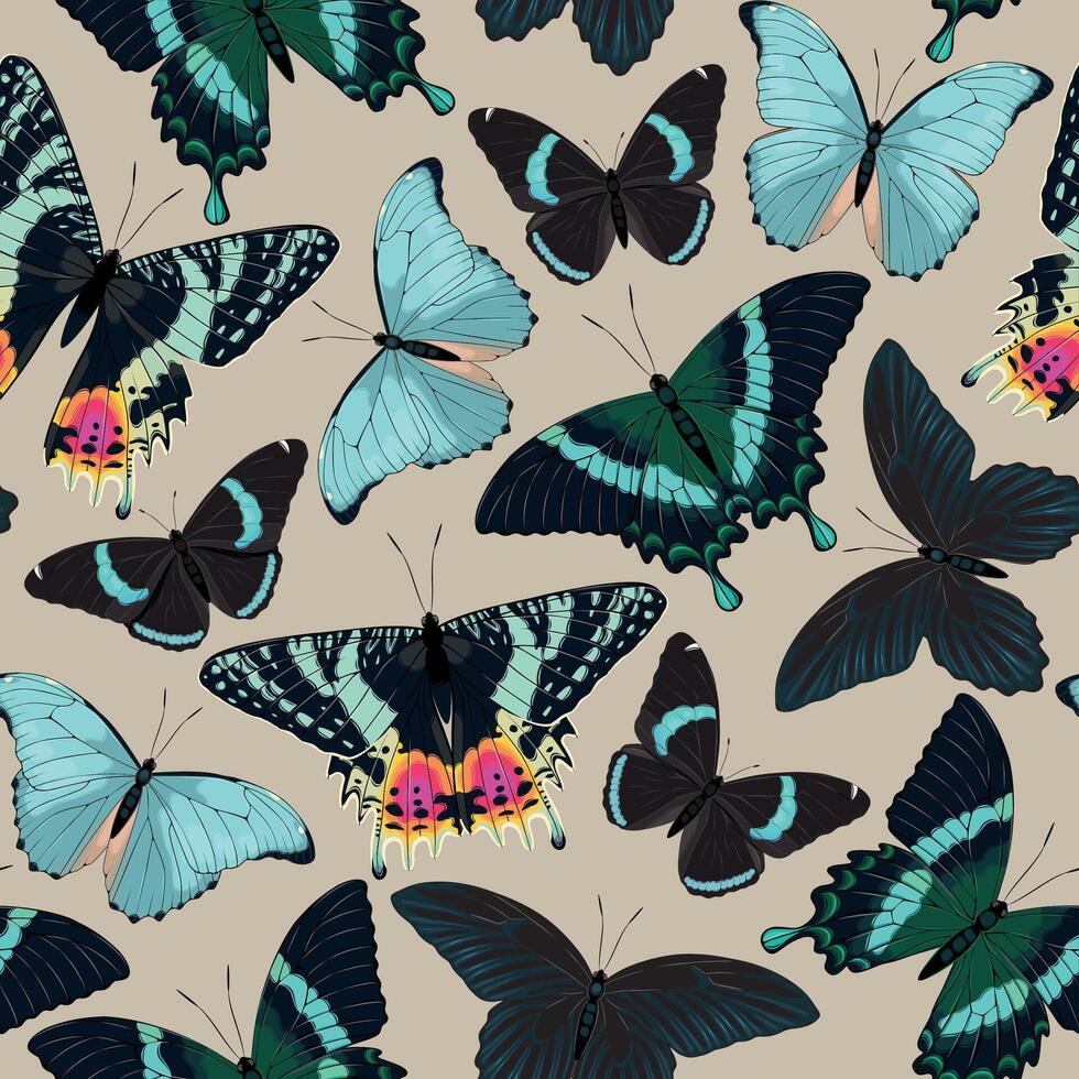 seamless pattern with high detailed tropic butterfly vector