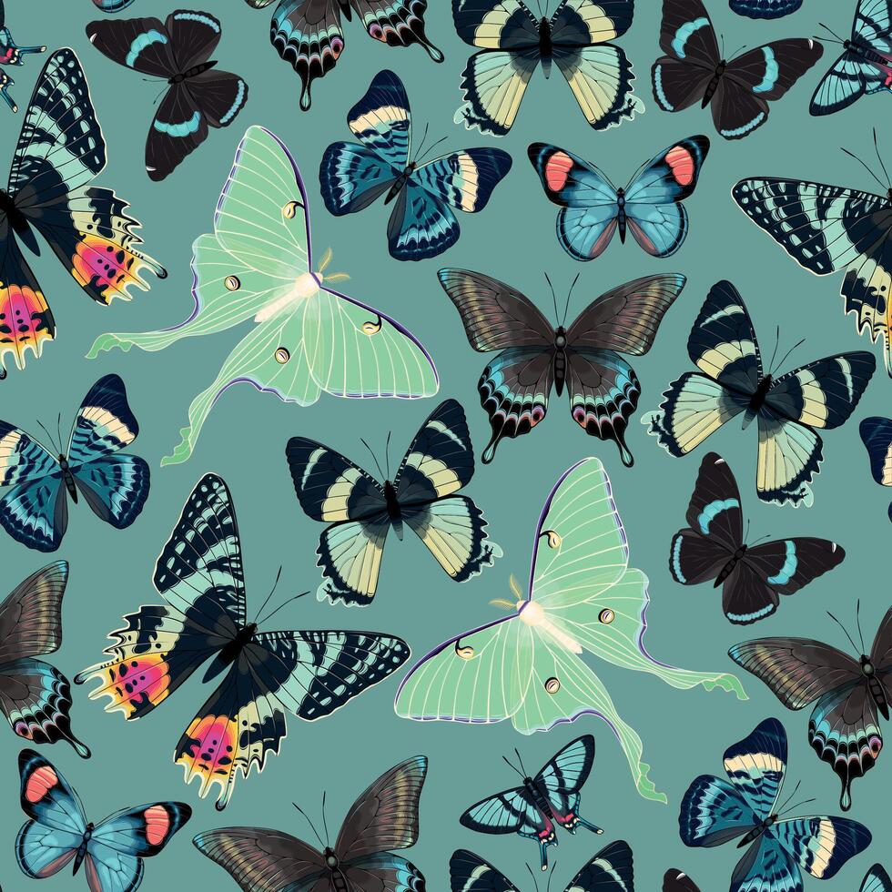 seamless pattern with high detailed tropic butterfly vector