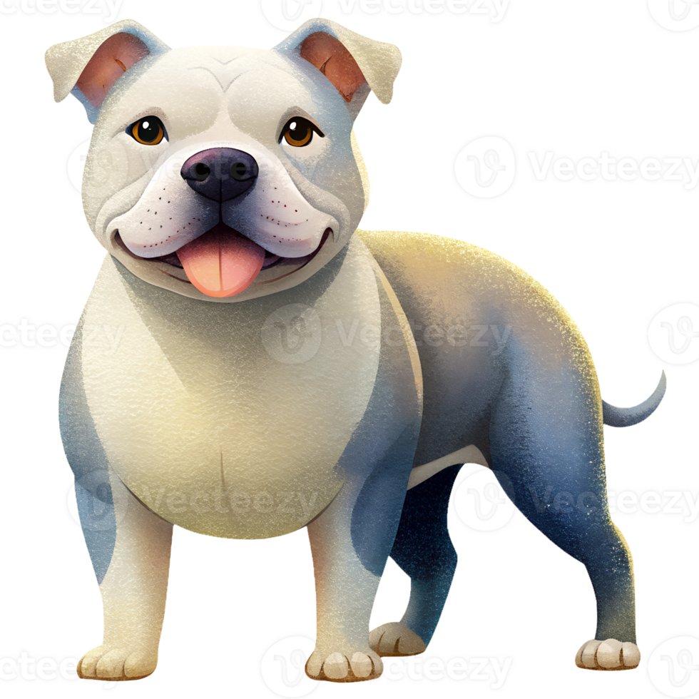 American Bulldog isolated on transparent background png