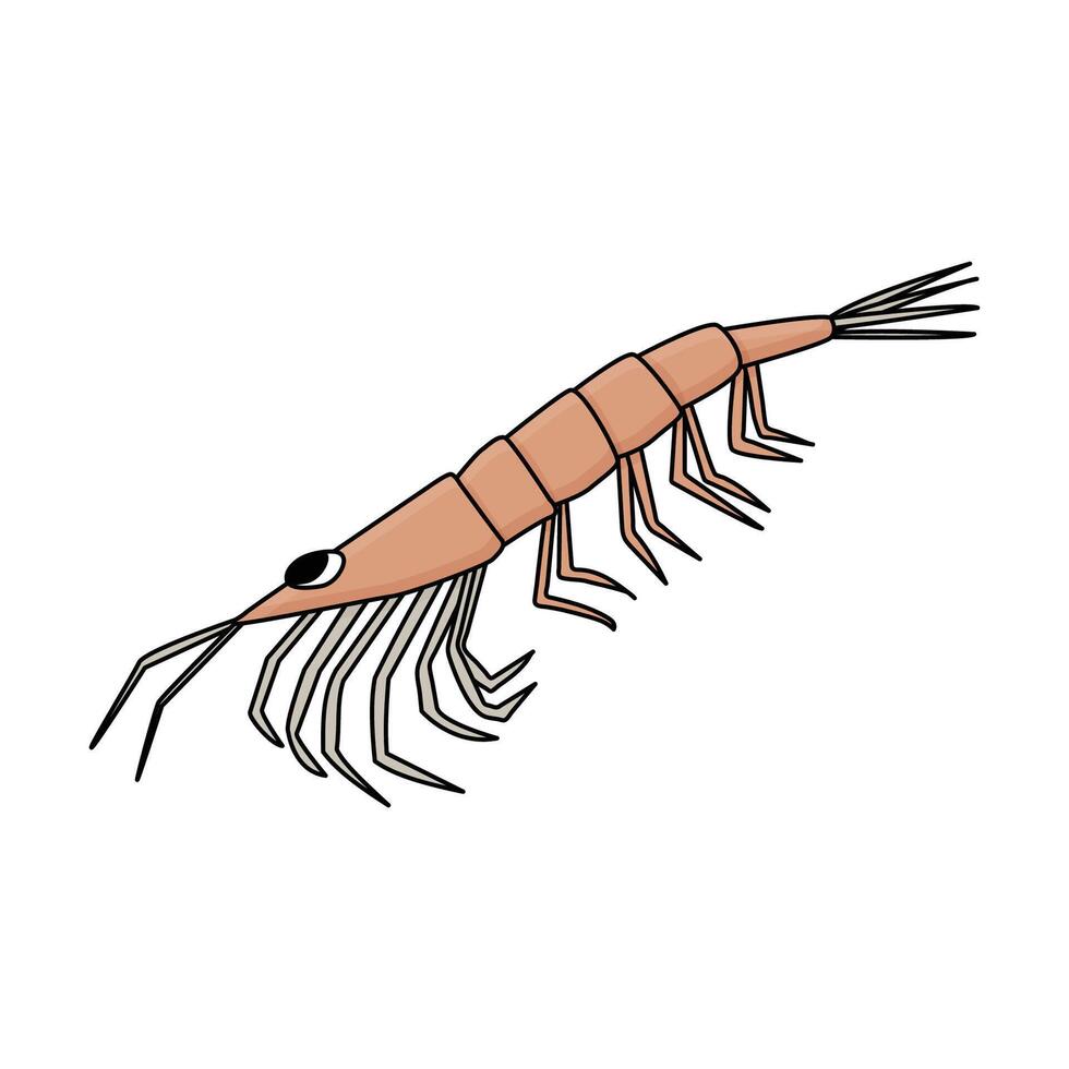 antártico krill. mano dibujado contorno bosquejo dibujos animados animal de Antártida. polar aislado ilustración en el blanco antecedentes vector