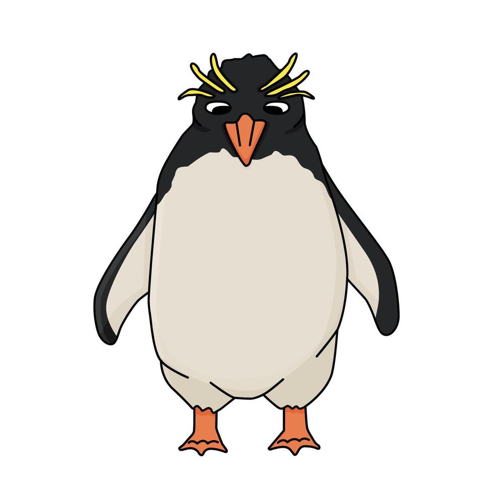 Macaroni penguin. cartoon hand drawn illustration of the crested animal in Antarctica. Polar childish bird isolated on the white background vector