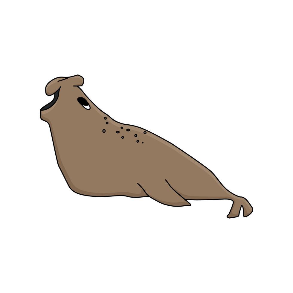 Elephant seal. Hand drawn cartoon isolated cute animal in Antarctica. Polar cute childish illustration on the white background vector