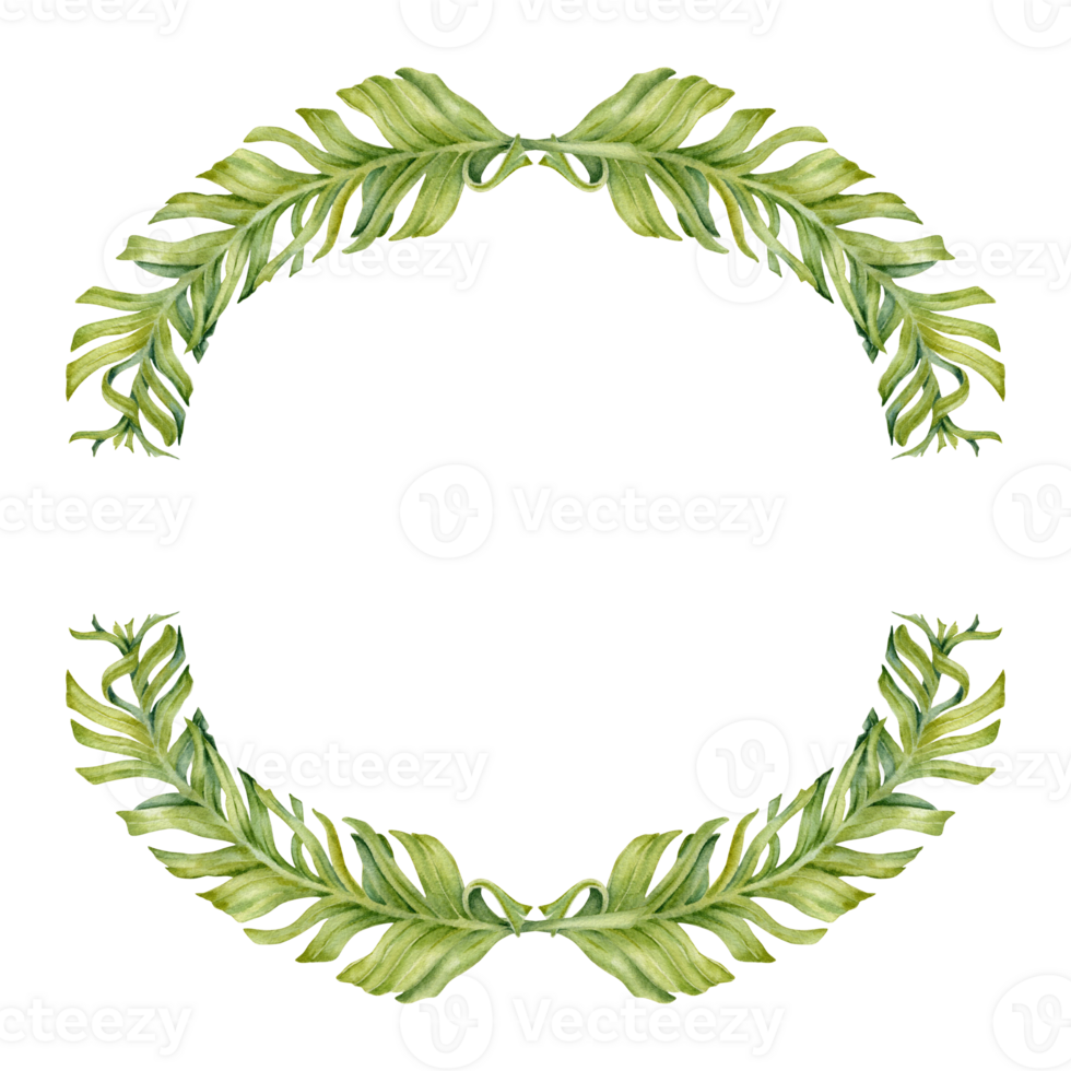 Wreath with exotic tropical green banana leaves frame composition. Hand drawn copy space watercolor on transparent background. Natural botanical illustration for card design, prints, invitations png