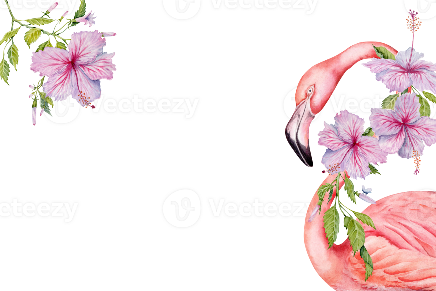 flamant oiseau et rose hibiscus fleurs avec élégant botanique feuilles et bourgeons exotique salutation carte conception. main tiré aquarelle modèle pour cartes, impressions, invitations avec copie espace pour votre texte. png