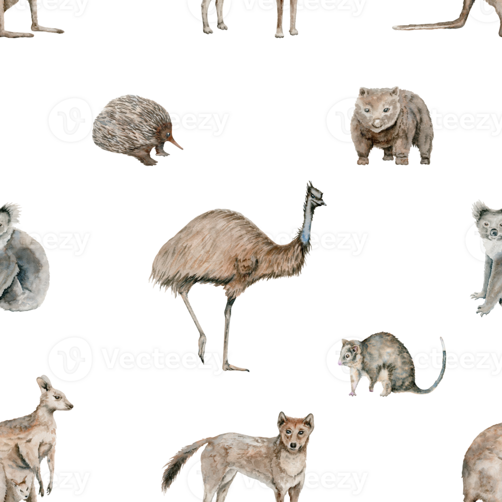 Emu and kangaroo seamless pattern with dingo and possum. Koala and wombat watercolor illustration. Australian native animals background. Hand drawn wildlife for surface design, wallpaper, textile. png