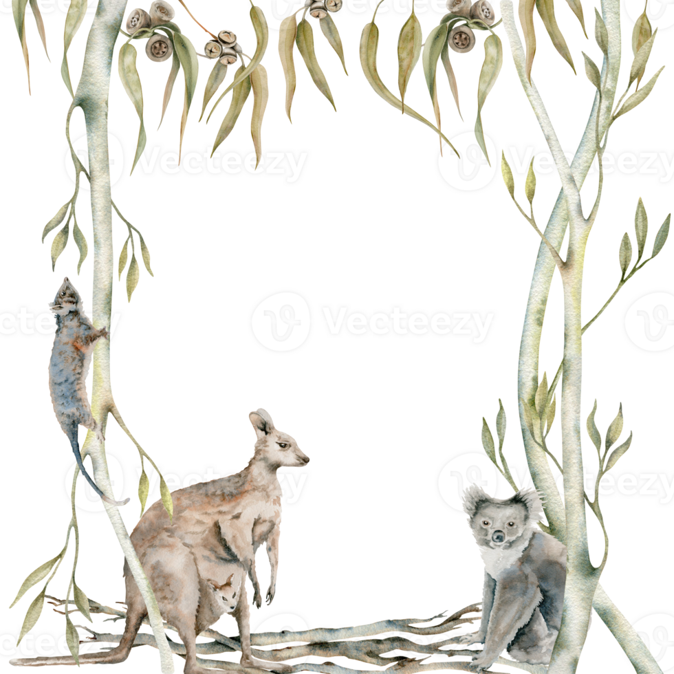 Koala and kangaroo postcard with possum on gum tree decorated with eucalyptus leaves. Australian animals watercolor illustration on transparent background. Hand drawn wildlife copy space frame design png