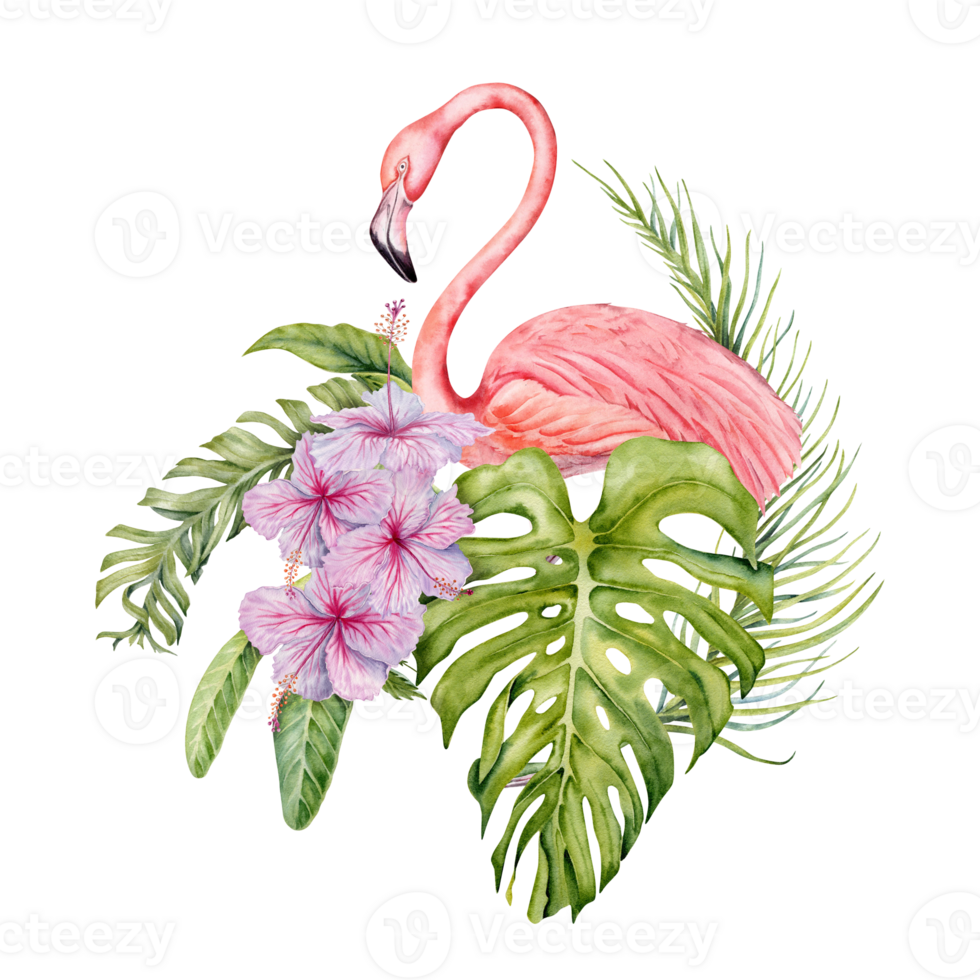 Flamingo with exotic tropical green leaves composition. Watercolor on transparent background. Natural botanical illustration with monstera, banana and hibiscus for card designs, prints, invitations png