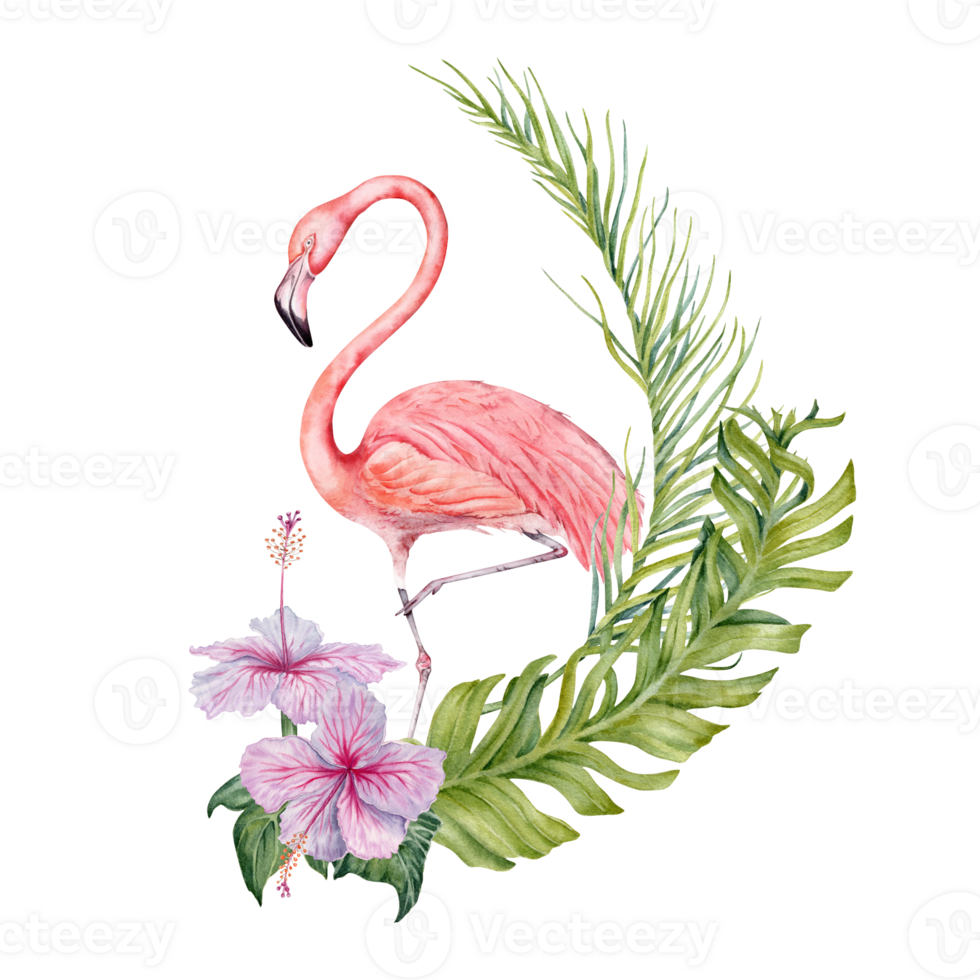 Flamingo and exotic tropical green leaves composition. Watercolor on transparent background. Natural botanical illustration withpalm, banana and hibiscus flower for card designs, prints, invitation png