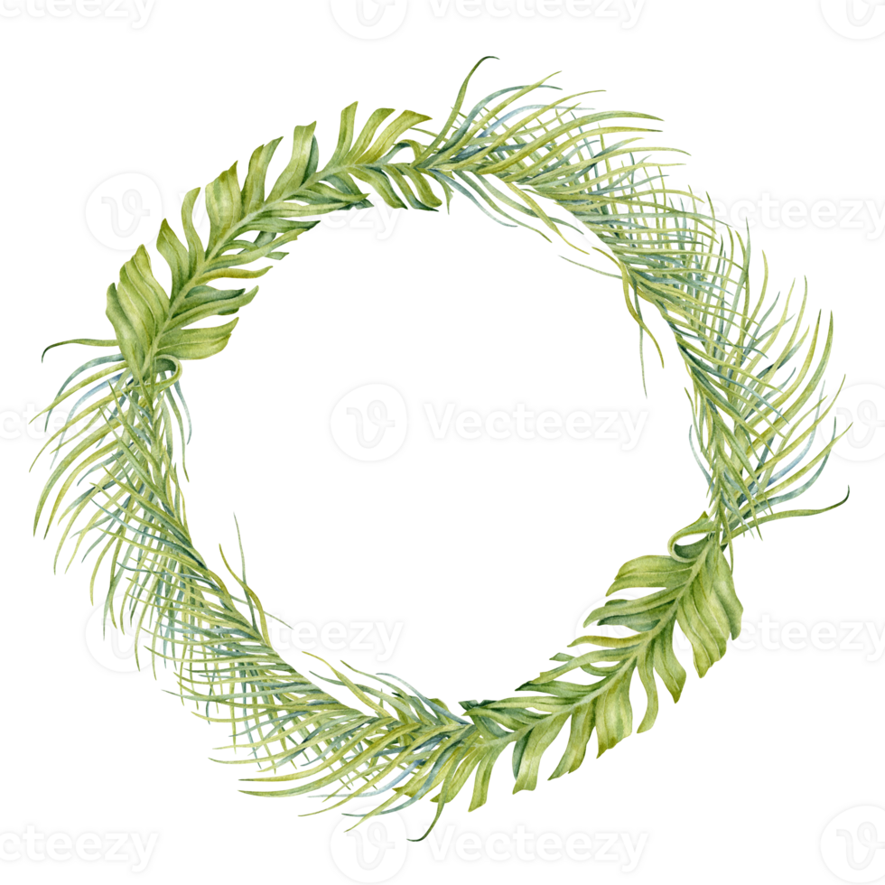 Wreath with exotic tropical green leaves composition. Hand drawn copy space watercolor on transparent background. Botanical illustration with palm and banana for card design, prints, invitations png