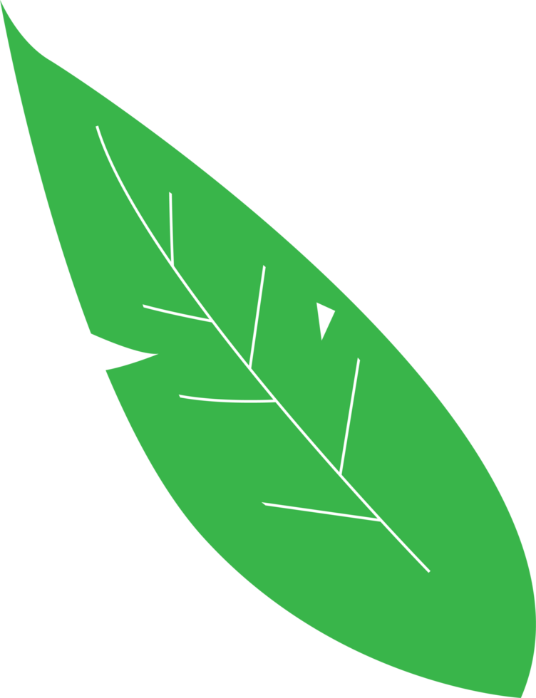green leaf floral nature for decorate design png