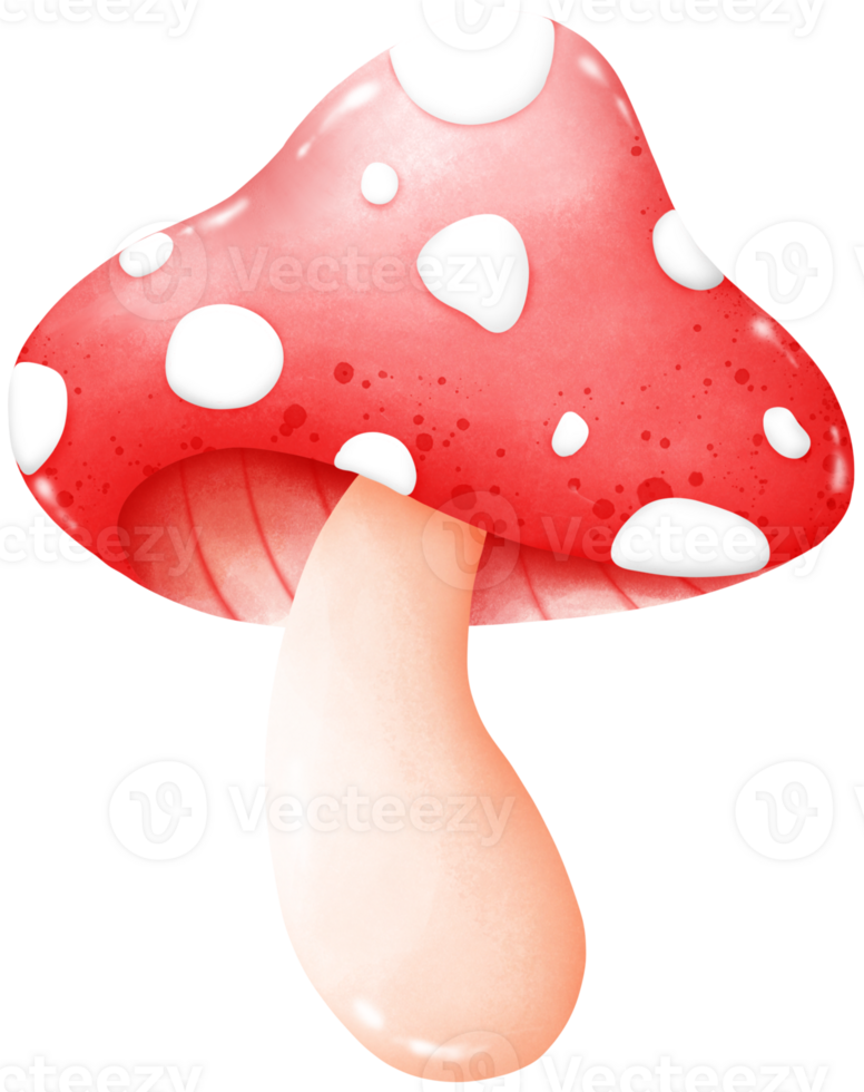 Mushrooms that grow naturally png