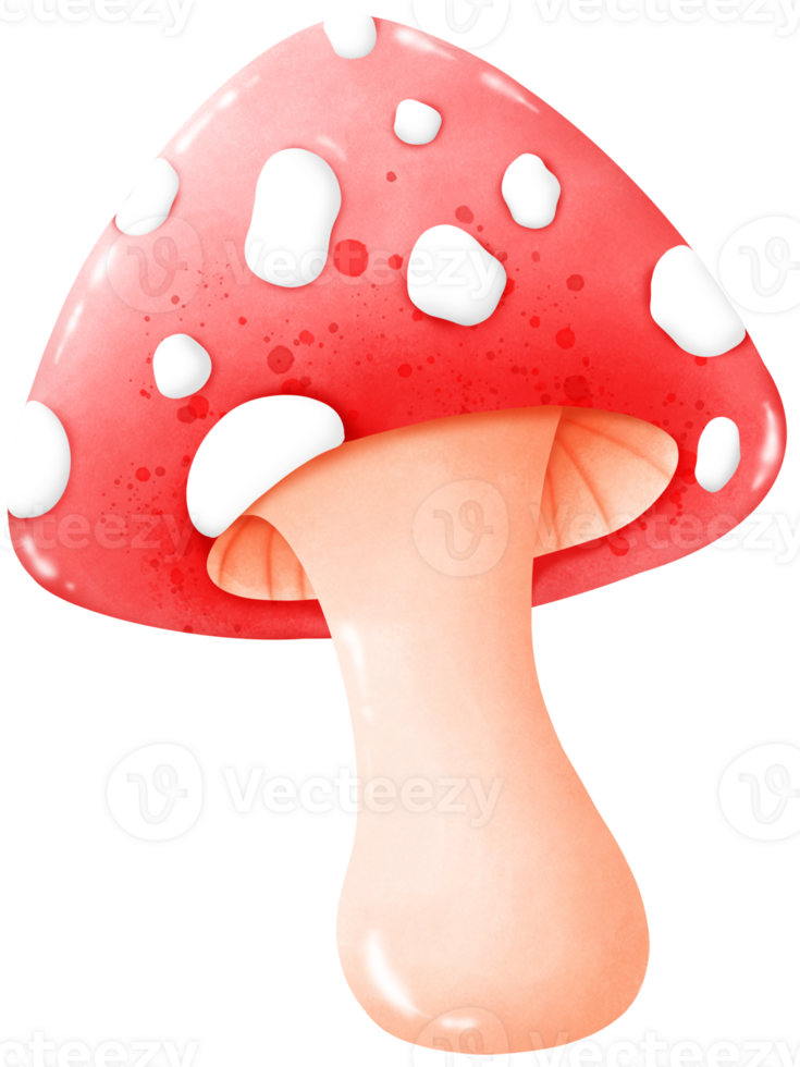 Mushrooms that grow naturally png