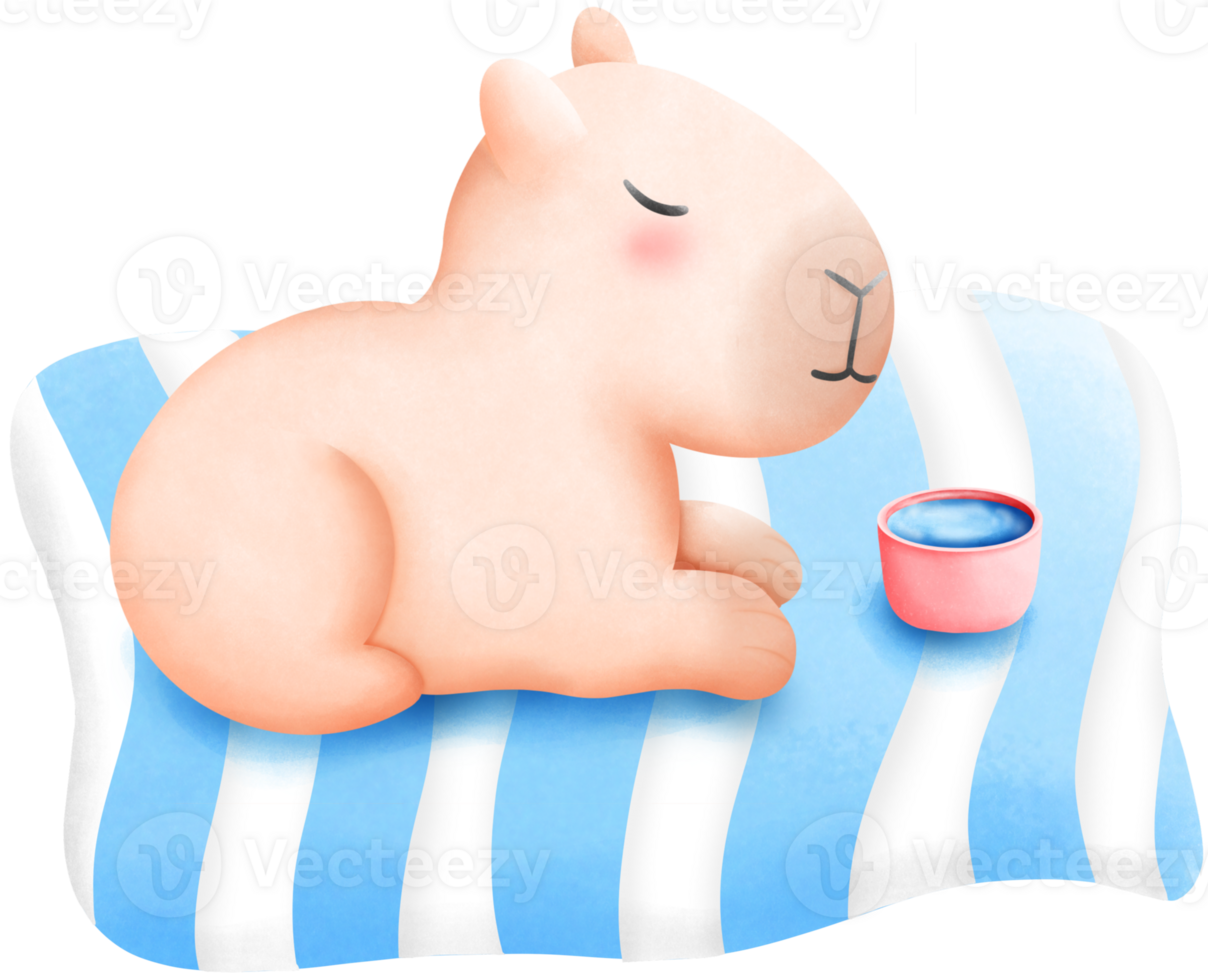 Capybara lying on the mat png