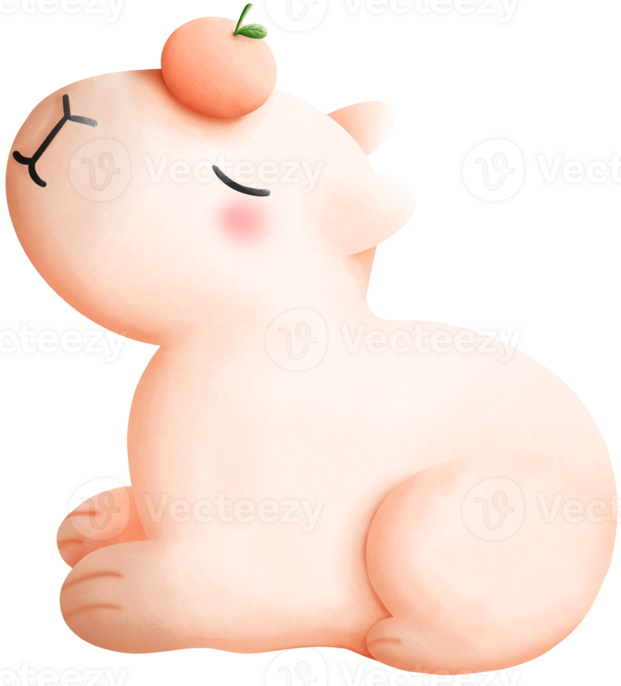 Capybara with oranges png