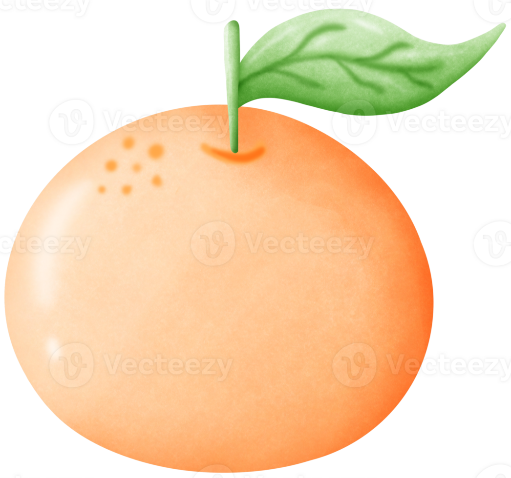 1 orange, fruit de bien fortune png