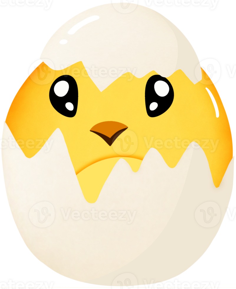Chick in egg shell png