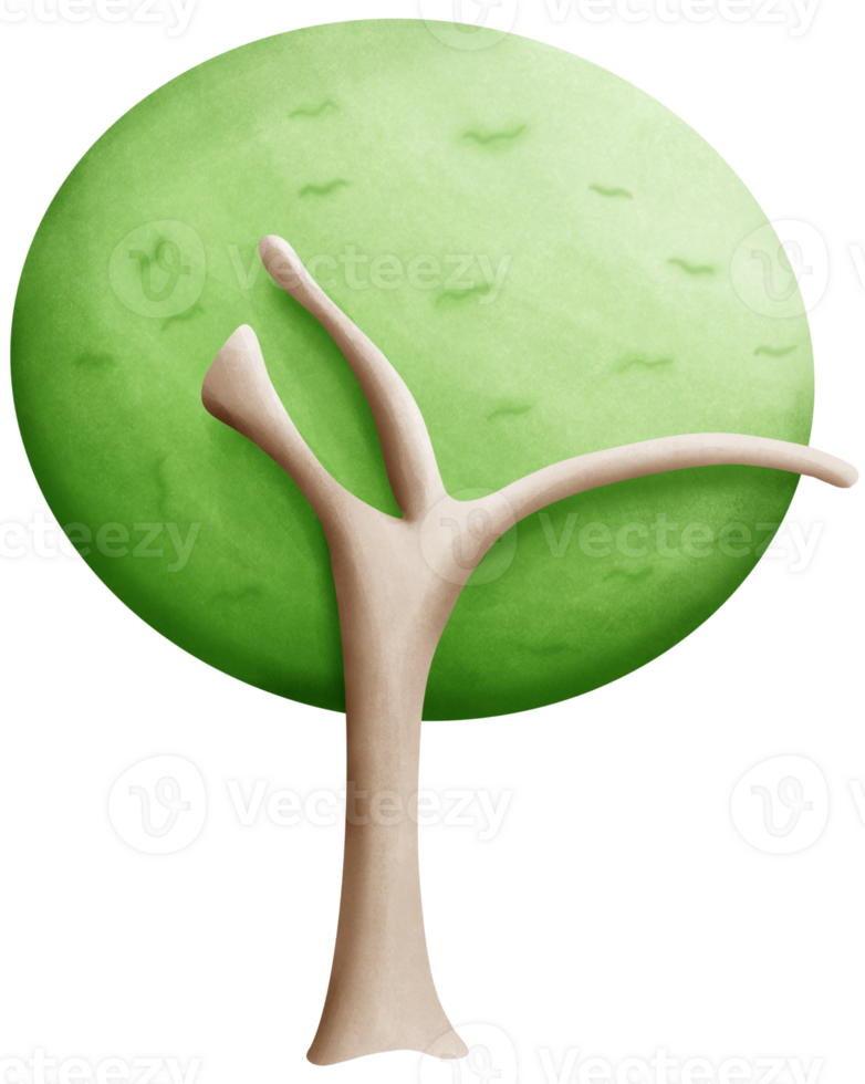 Trees that are fully grown png