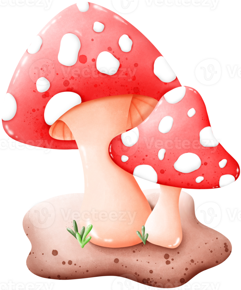 Mushrooms that grow naturally png