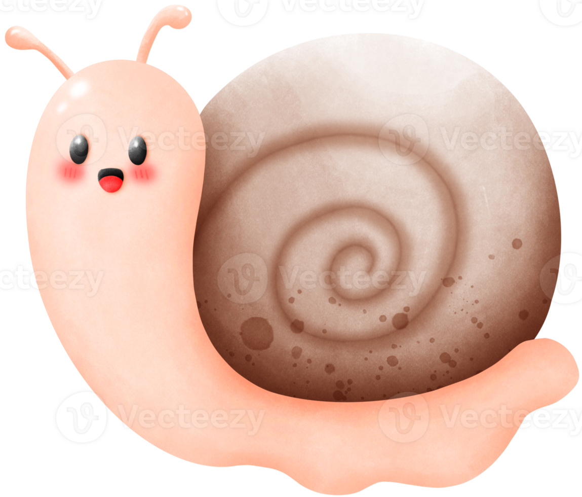 Snail with brown spiral shell png